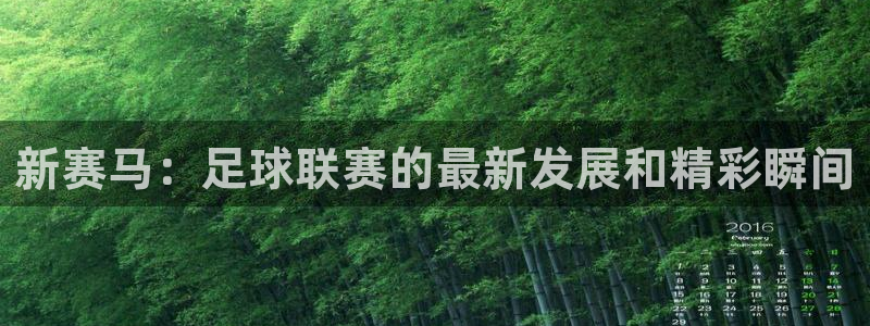 24直播直播：新赛马：足球联赛的最新发展和精彩瞬间