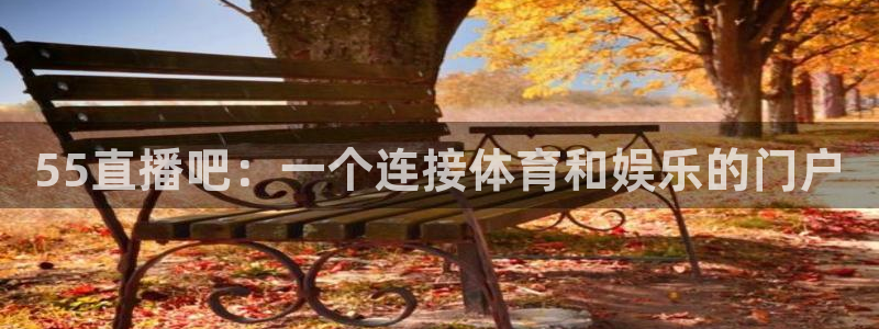 足球比赛直播24直播：55直播吧：一个连接体育和娱乐的门户