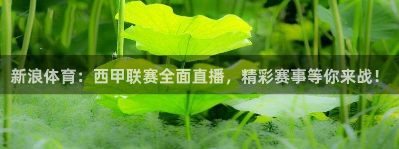 24直播网看球：新浪体育：西甲联赛全面直播，精彩赛事等你来战！