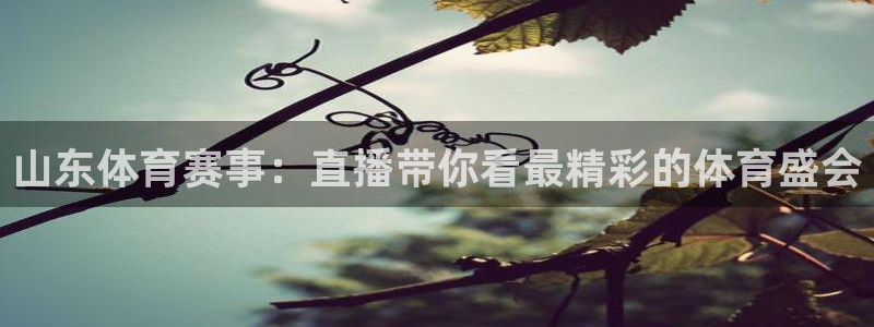 24直播足球在线直播：山东体育赛事：直播带你看最精彩的体育盛会
