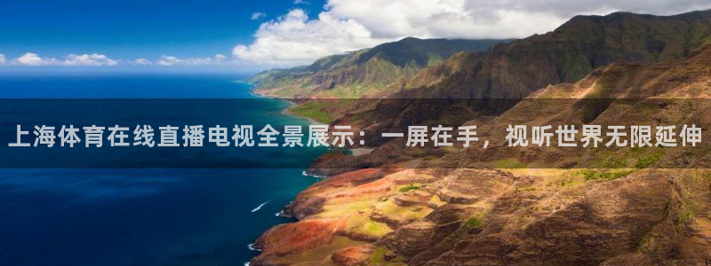 足球直播24直播网在线：上海体育在线直播电视全景展示：一屏在手，视听世界无限延伸