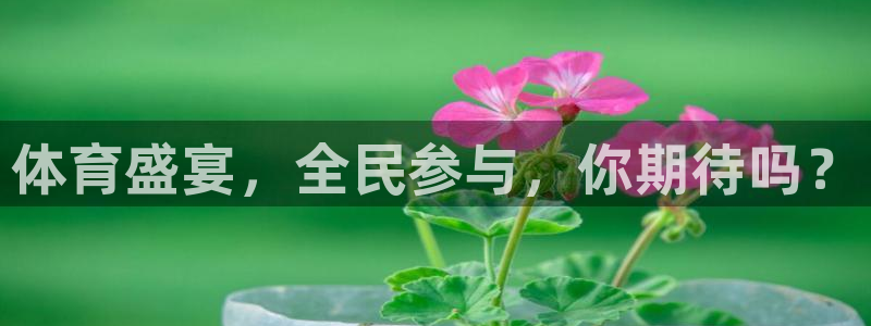 24直播网址：体育盛宴，全民参与，你期待吗？